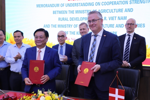 Việt Nam - Đan Mạch: Hợp tác hướng tới xây dựng hệ thống thực phẩm bền vững